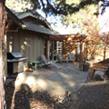 Nelson Landscaping
