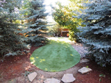 Nelson Landscaping