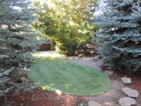 Nelson Landscaping