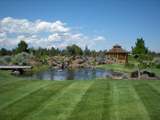 Nelson Landscaping