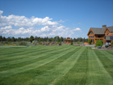 Nelson Landscaping