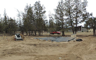 Nelson Landscaping