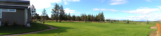 Nelson Landscaping