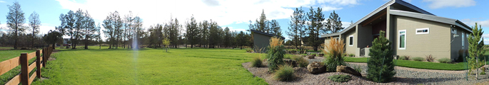 Nelson Landscaping