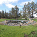 Nelson Landscaping