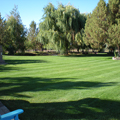 Nelson Landscaping & Maintenance