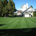 Large Property Maintenance