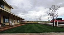 Nelson Landscaping