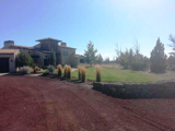 Nelson Landscaping