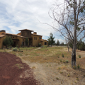 Nelson Landscaping