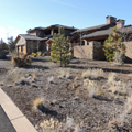 Nelson Landscaping