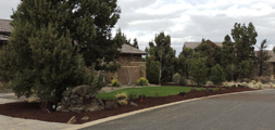 Nelson Landscaping