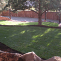 Nelson Landscaping