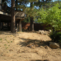Nelson Landscaping