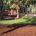 Nelson Landscaping