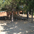 Nelson Landscaping