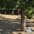 Nelson Landscaping